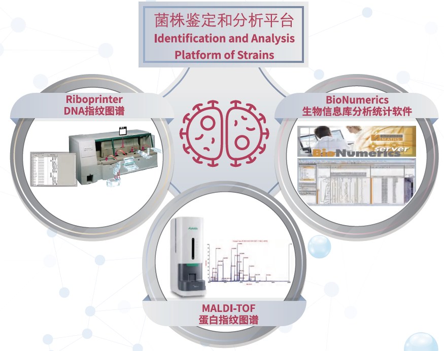 Strain identification and analysis platform